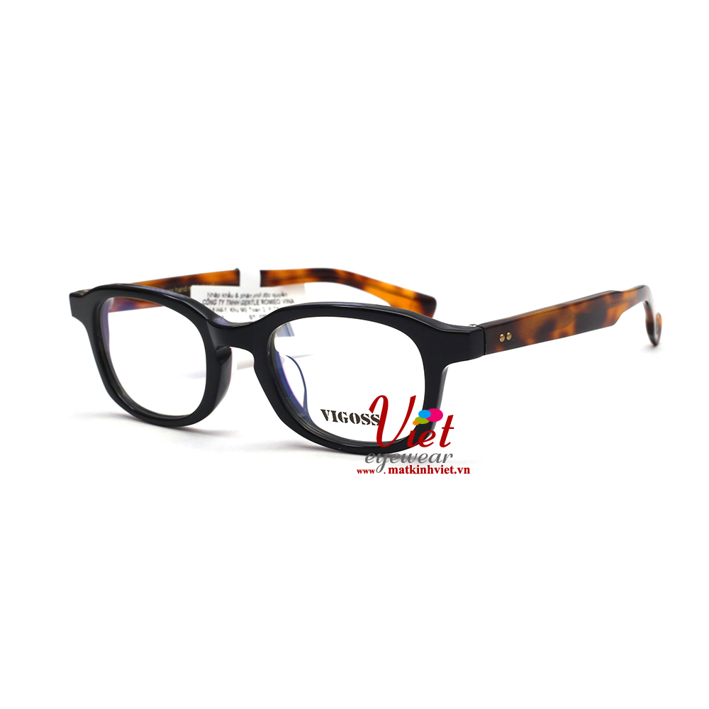 Gọng kính VIGOSS V3548 BKDE